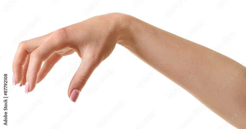 Female hand isolated on white Female hand isolated on white