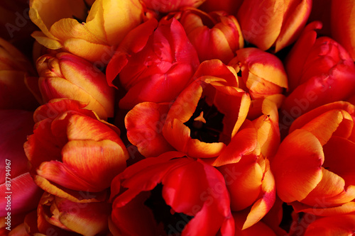 Beautiful bouquet of tulips close up