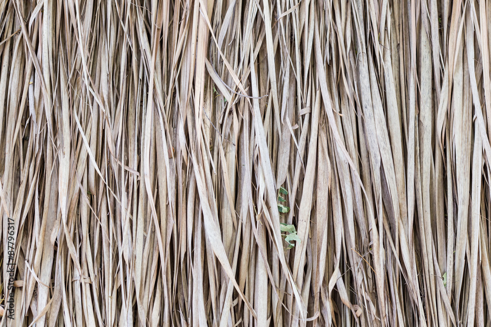 Thatch roof background, hay or dry grass background. Thatch roof background, hay or dry grass background.