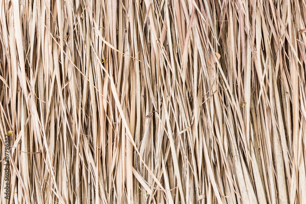 Thatch roof background, hay or dry grass background. Thatch roof background, hay or dry grass background.