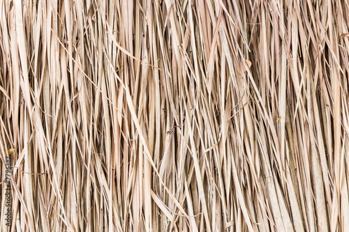 Thatch roof background, hay or dry grass background.