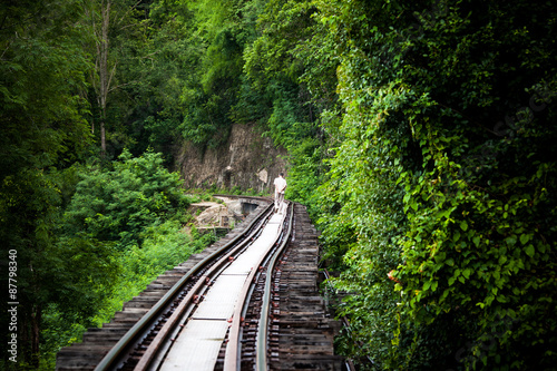 Conventional tracks through forest and mountains.