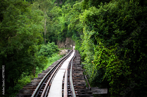 Conventional tracks through forest and mountains.