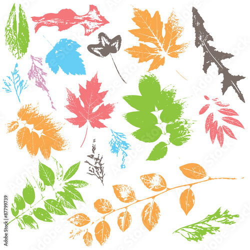 leaf silhouettes in color