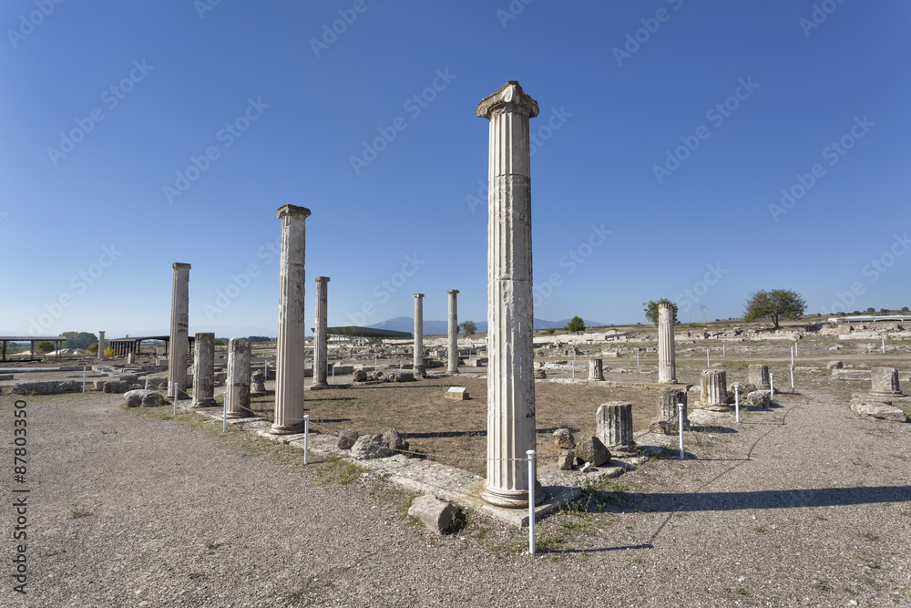 Ruins in Pella, the native town of Alexander the Great, Greece