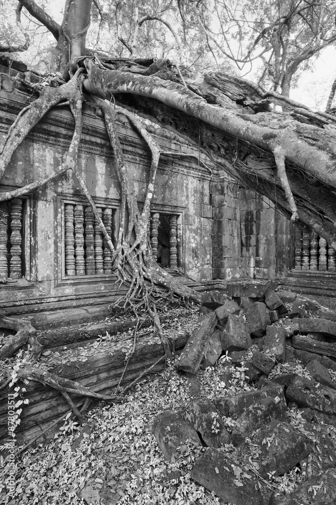 Beng Mealea Temple, Angkor, Cambodia