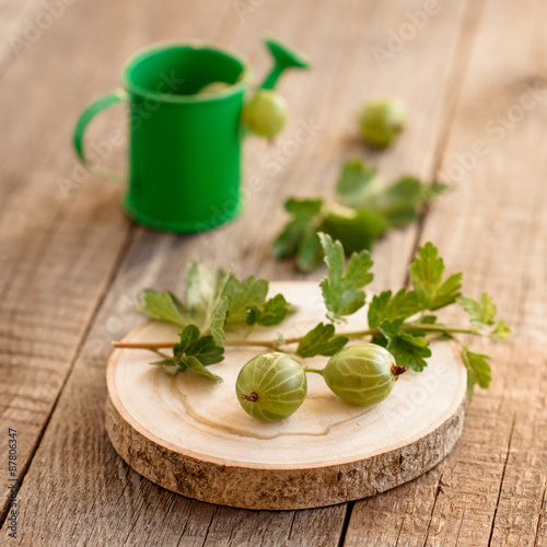 Fototapeta Naklejka Na Ścianę i Meble -  gooseberry