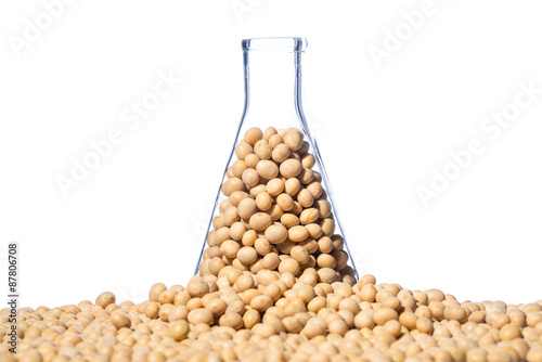 Foto Soybean genetically modified, Plant Cell