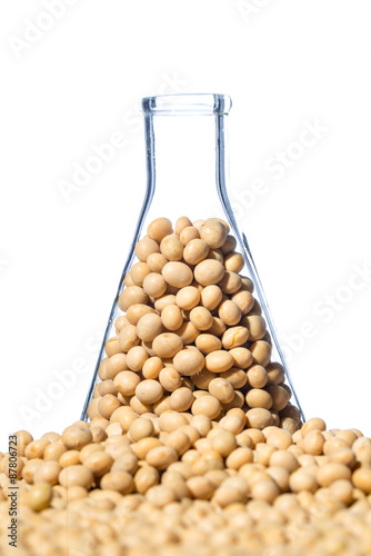 фотографія Soybean genetically modified, Plant Cell