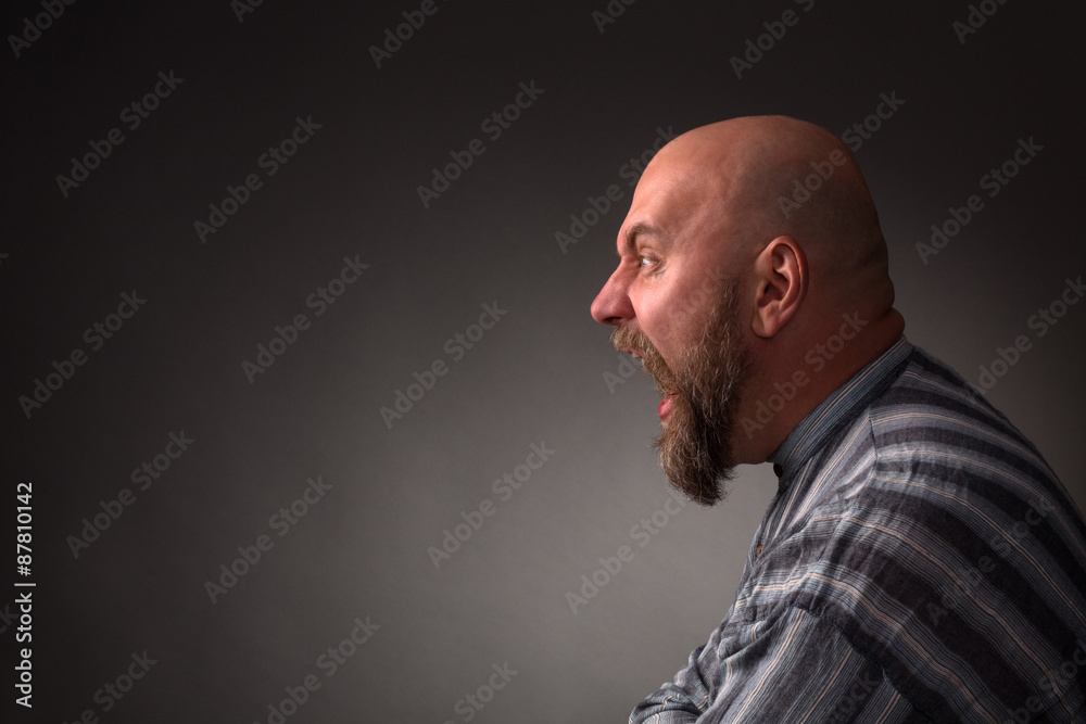 Fototapeta premium Jailbird