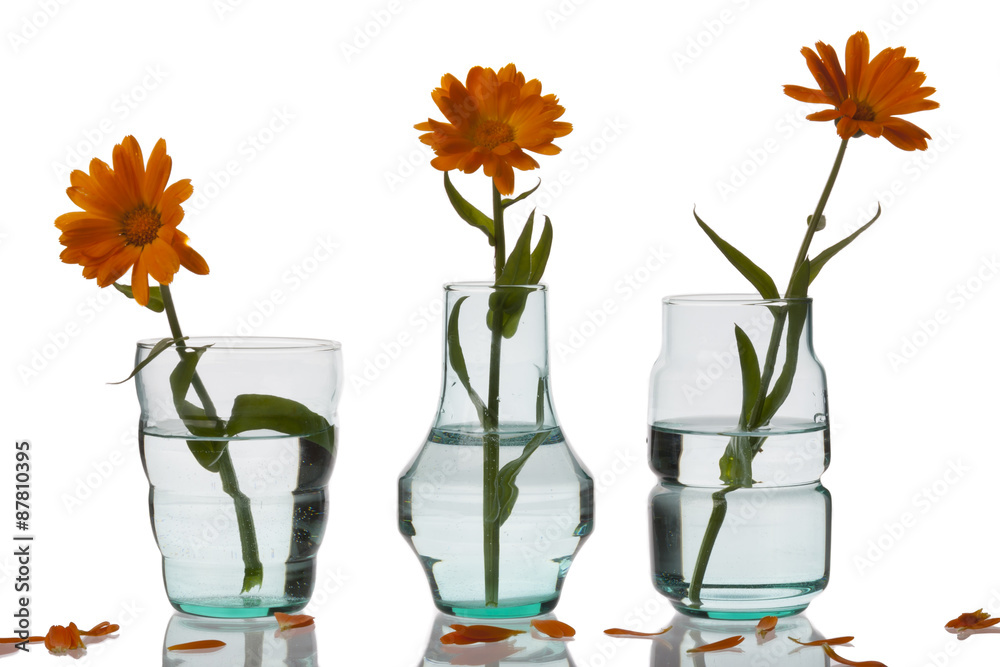 Fototapeta premium Three vase on white background.