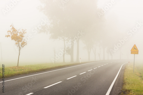 Autumn foggy day - Poland.