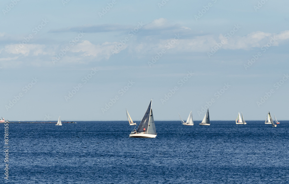 Sailboats on Lake Ontario