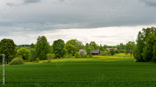 beautiful green fields under blue sky in summer © Martins Vanags