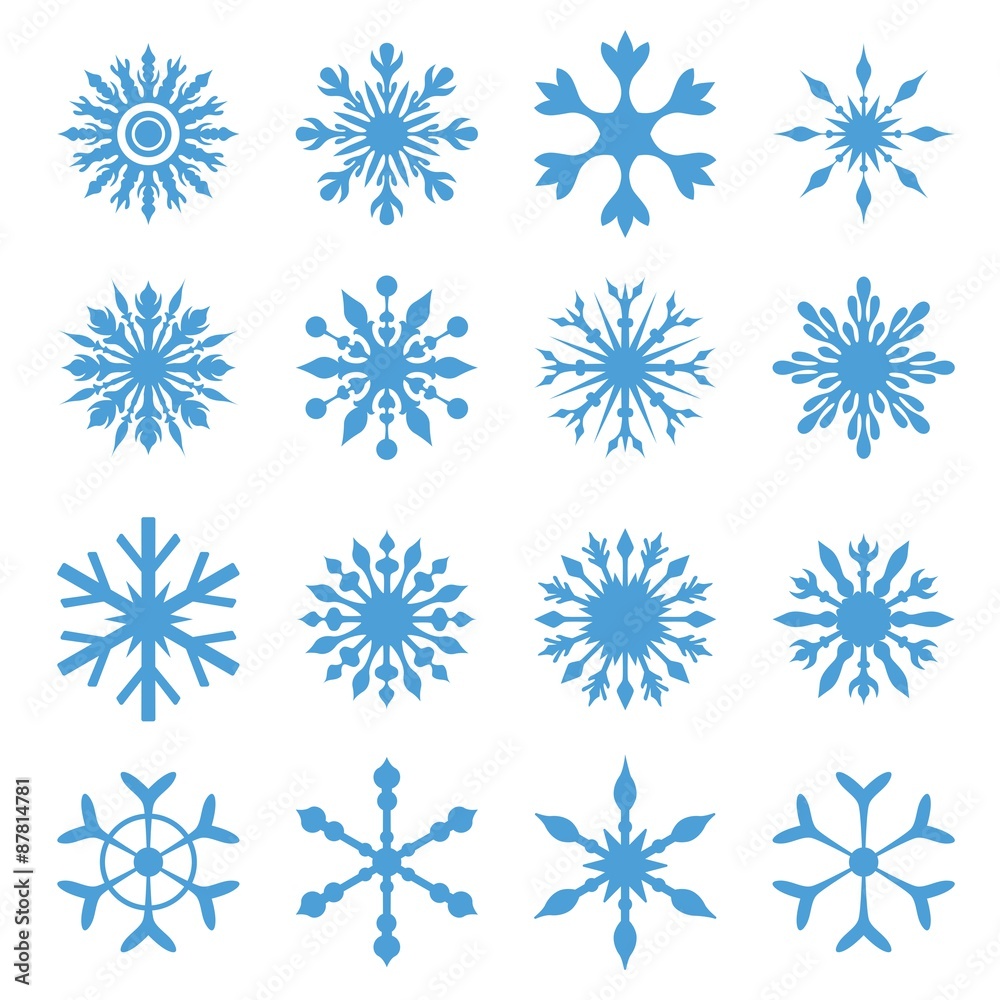 Elegant Vector Snowflakes Set