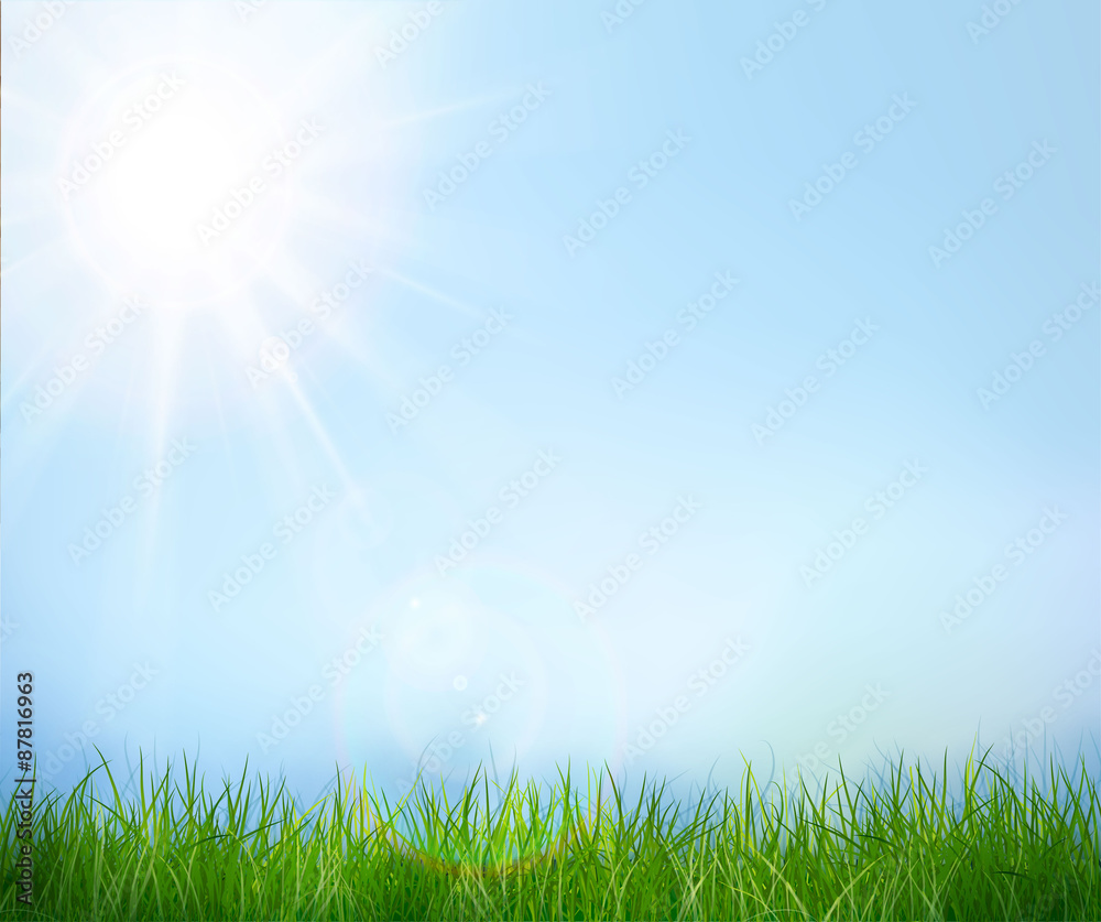 Green grass and blue sky. Vector