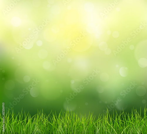 Spring background