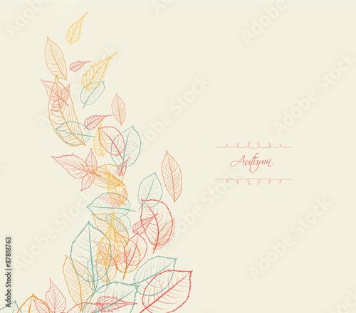 Abstract autumn beauty background