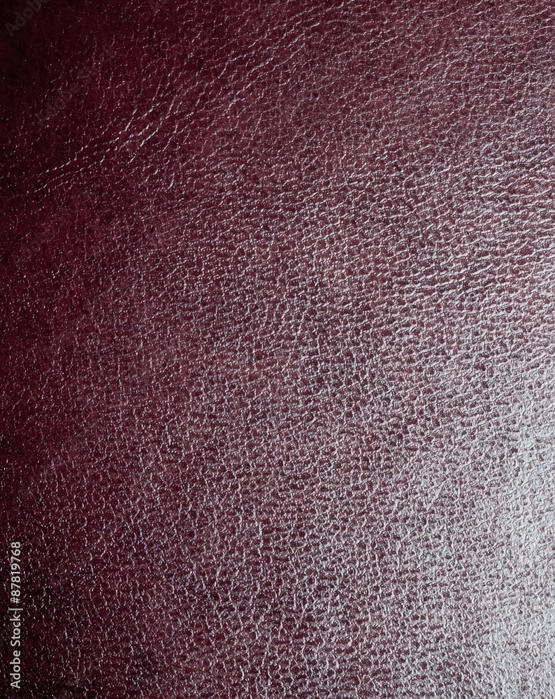 Macro of Book Cover Macro of Book Cover