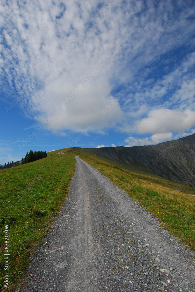 Hiking trail and clouds on the Schwandfeldspitz vertical format