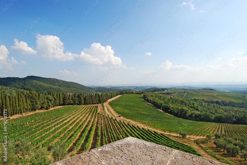 Gaiole in Chianti, Tuscany, Italy - View from the castle over the vineyards and olive groves