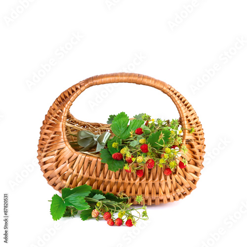 Basket of Wild Strawberries isolated on white background
