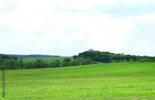 Green field and blue sky