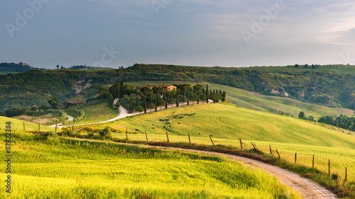 Road between green fields in Tuscany