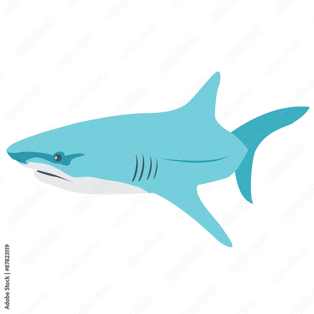 Shark vector illustration Shark vector illustration