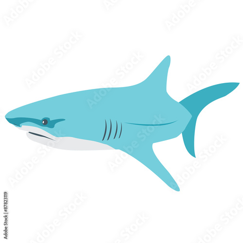 Shark vector illustration 