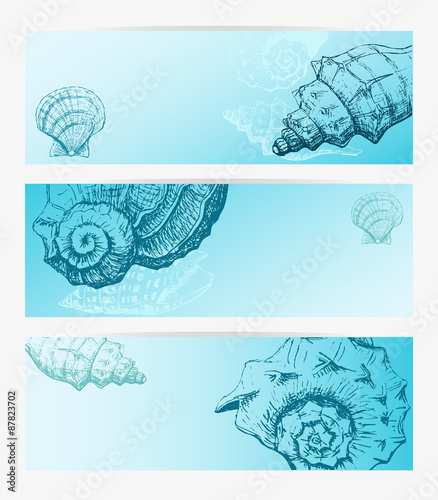 Set of banners with Seashells © lisagerrard99