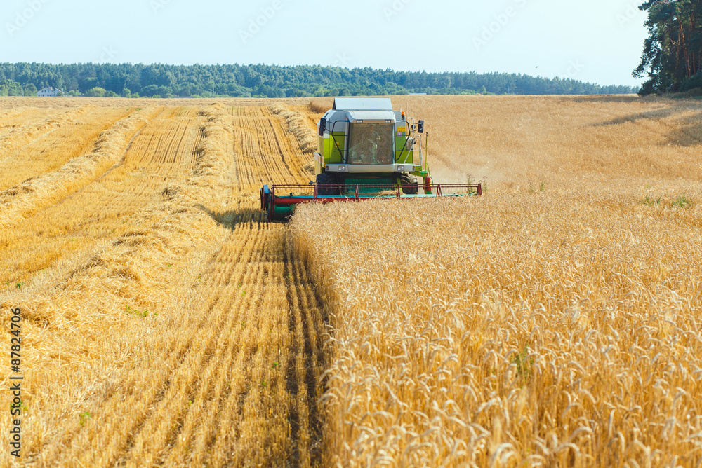 Obraz premium combine harvester