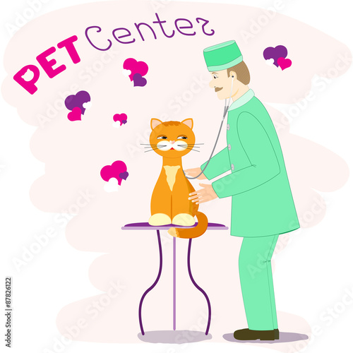 red cat at the vets at the centre for Pets