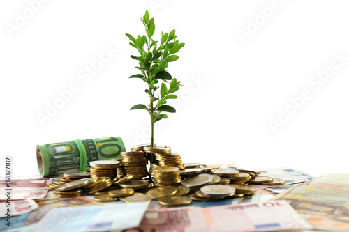 Money with growing sprout isolated on white