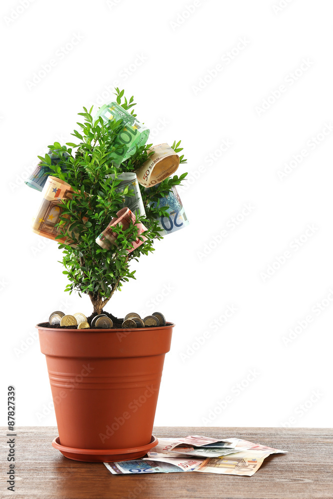 Decorative tree in pot with money on table isolated on white Decorative tree in pot with money on table isolated on white
