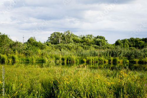 Old pond turned into swamps. Ponds overgrown grass and weeds turned into swamps, despite the fact that the water is clean from underground sources. Fotoshoot held in the summer on a cloudy day 