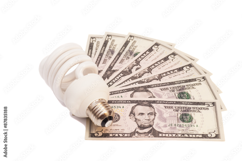 Energy saving light bulb and money isolated on white