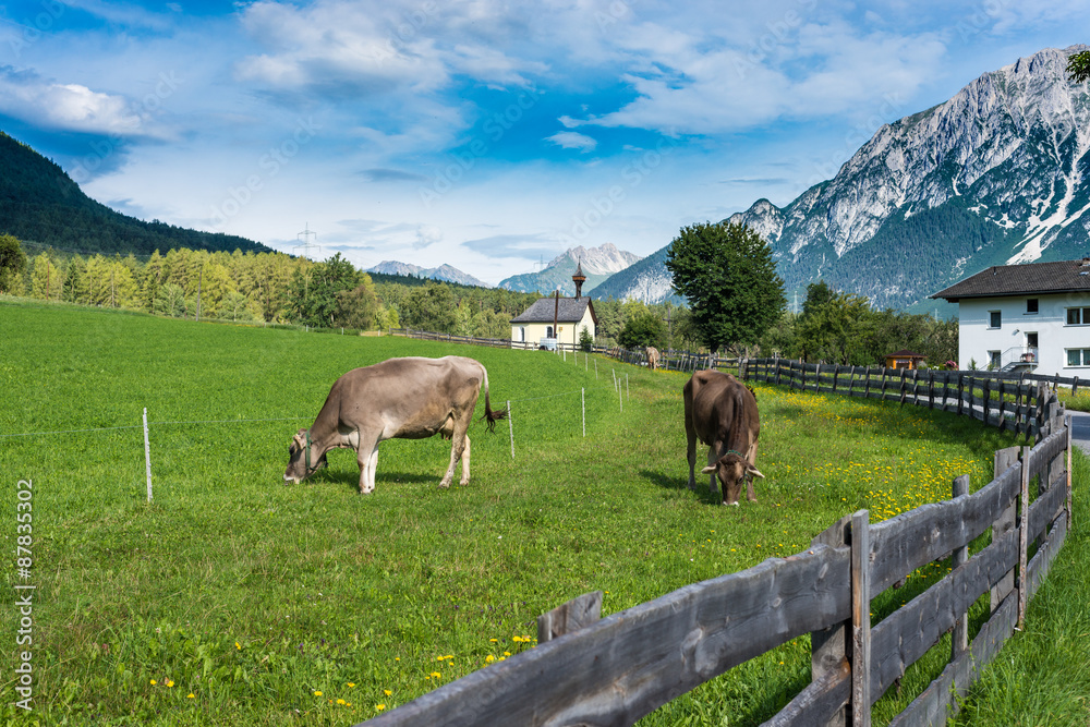 Naklejka premium Obsteig in Sonnenplateau, Austria