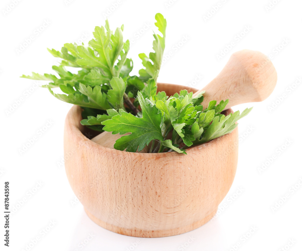 Mortar with herbs isolated on white