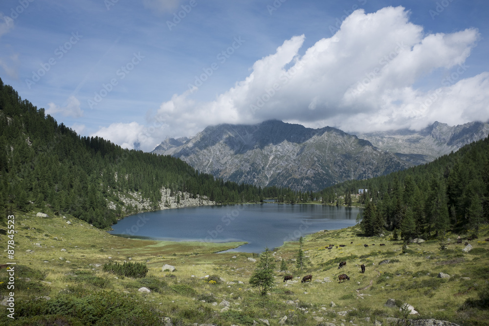 laghi alpini del gruppo Adamello Brenta