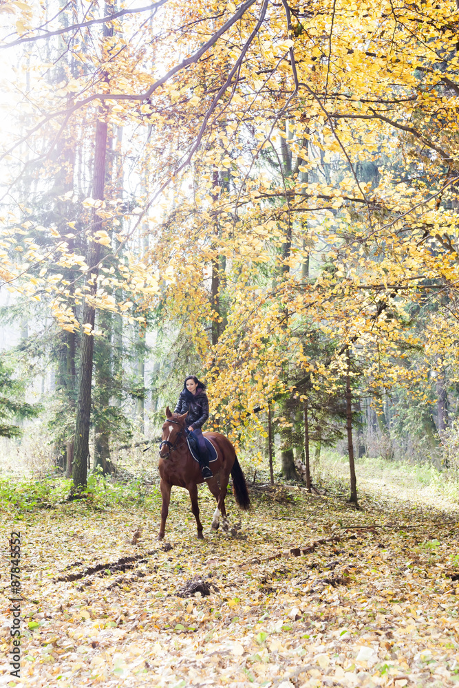 equestrian on horseback in autumnal nature