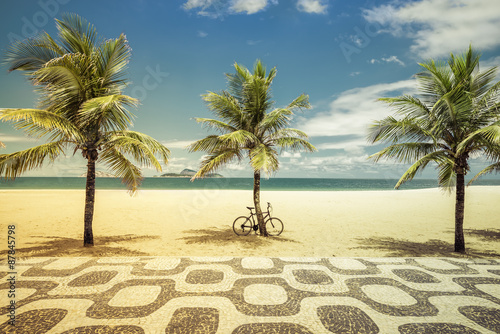 Palms with bicycle on Ipanema Beach in Rio de Janeiro photo