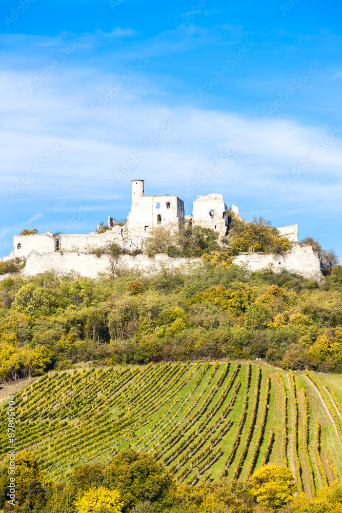ruins of Falkenstein Castle with vineyard in autumn, Lower Austr