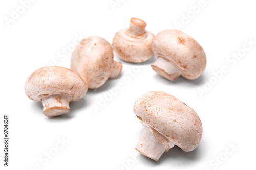 Fresh champignon mushrooms isolated on a white background