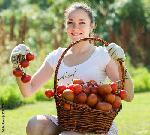 Woman with tomato harvest in garden