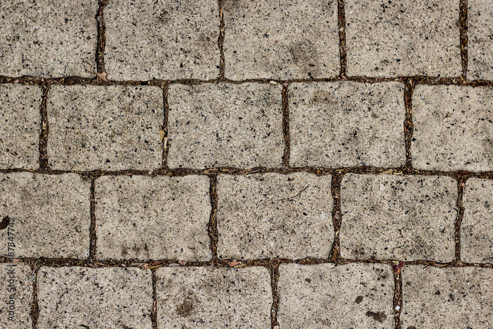 Obraz premium Paving slab texture/background