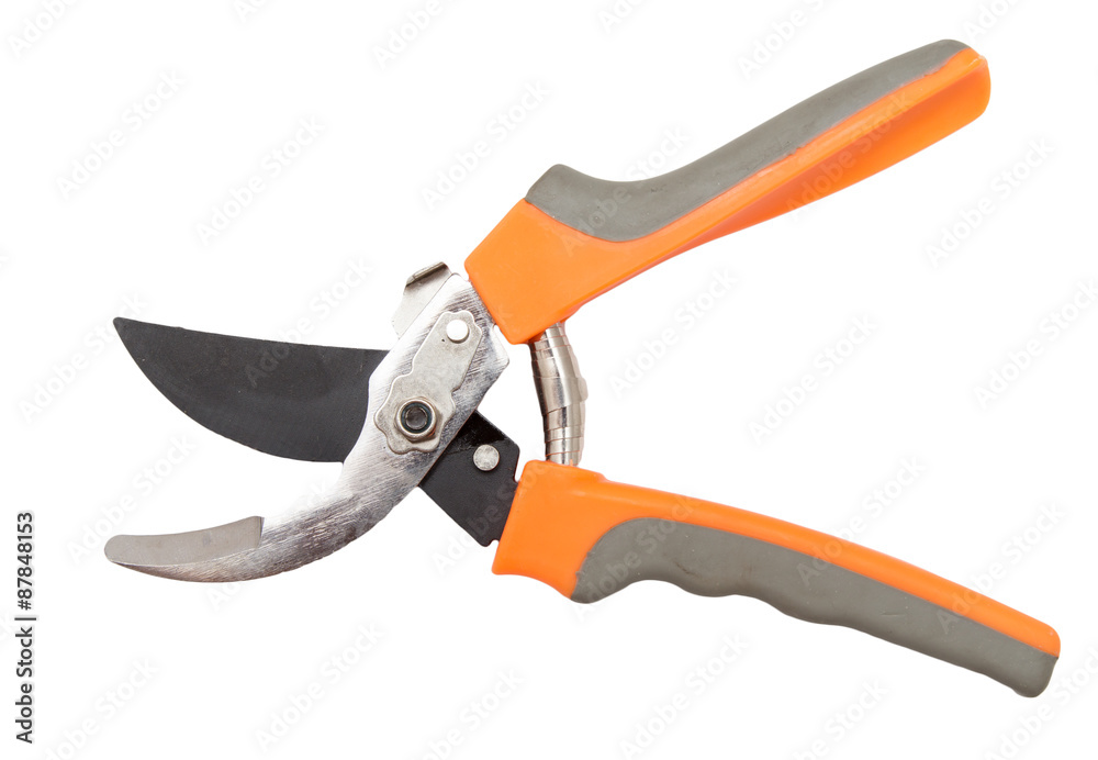 secateurs on a white background secateurs on a white background
