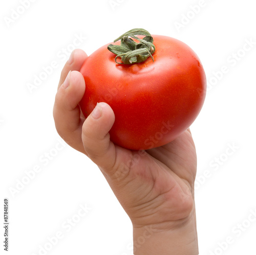 tomato in hand on a white background