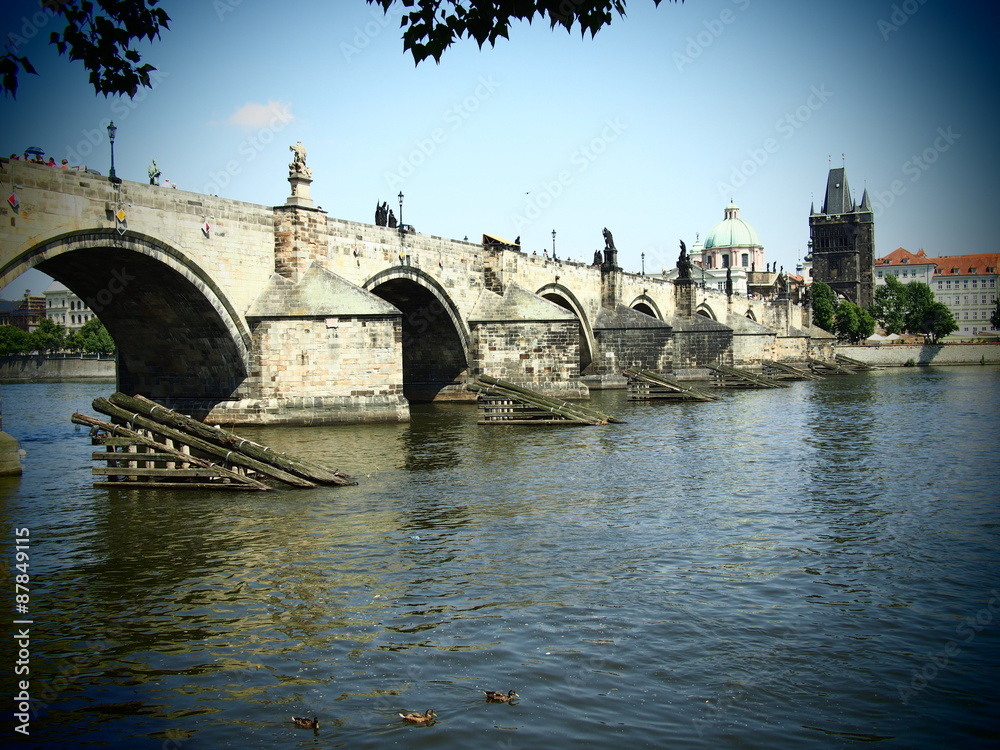 Obraz premium View of Prague's bridget