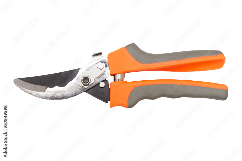 secateurs on a white background